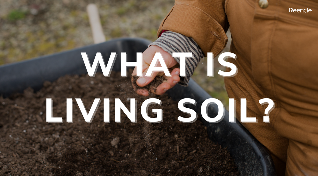 What Is Living Soil?