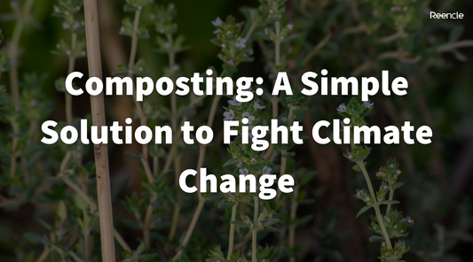 Composting: A Simple Solution to Fight Climate Change