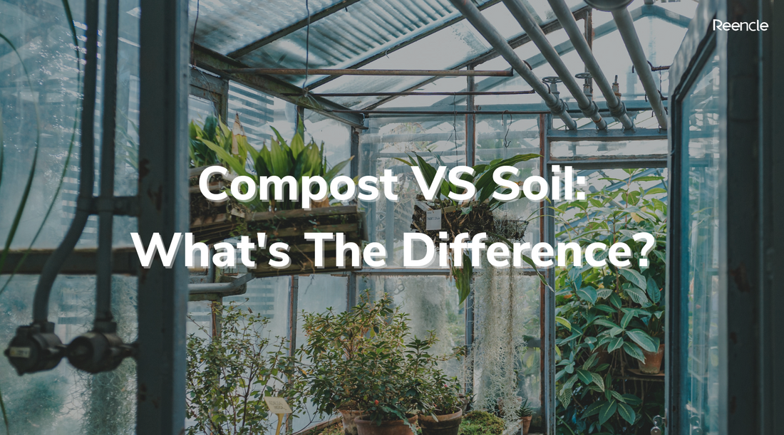 Compost VS Soil: What's The Difference?