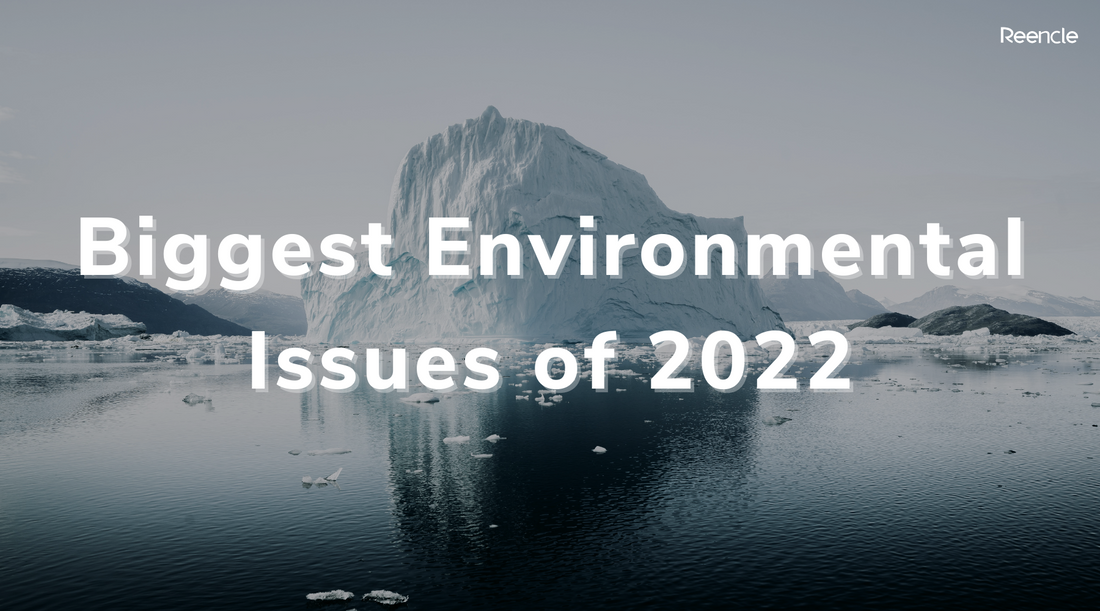 Biggest Environmental Issues of 2022