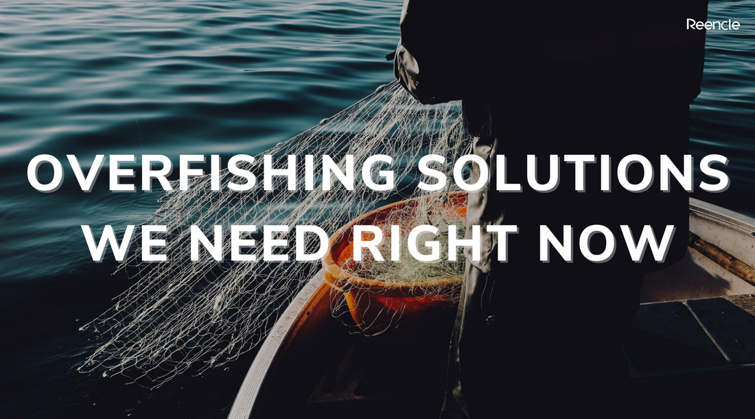 Overfishing Solutions We Need Right Now