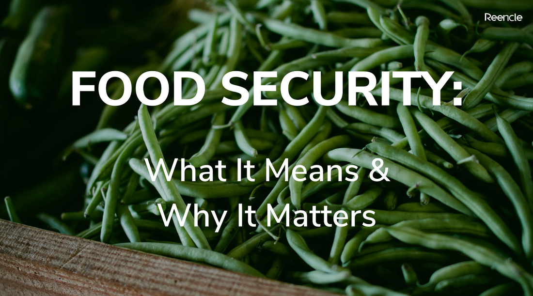 What Food Security Is & Why It Matters