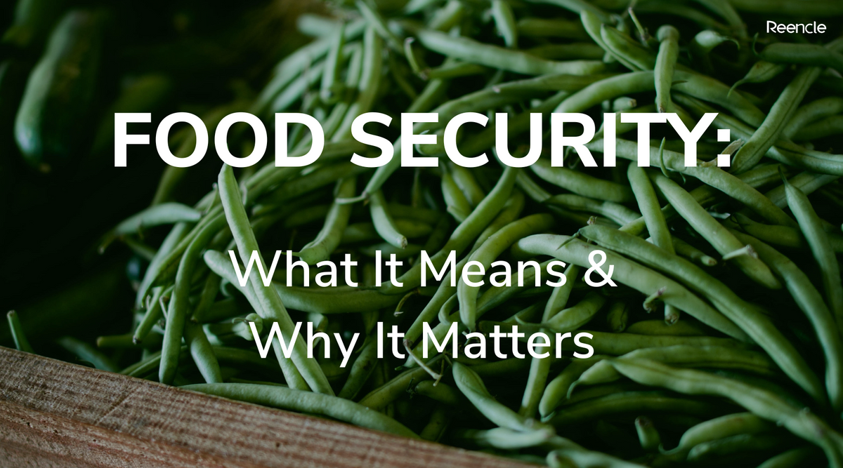 What Food Security Is & Why It Matters | Reencle Malaysia