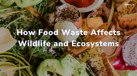 How Food Waste Affects Wildlife and Ecosystems