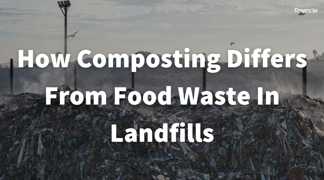 How Composting Differs From Food Waste In Landfills