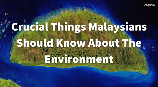 Crucial Things Malaysians Should Know About The Environment
