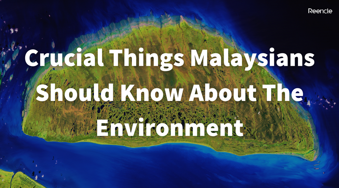 Crucial Things Malaysians Should Know About The Environment