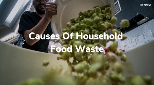 Causes Of Household Food Waste