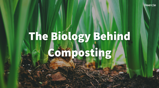 The Biology Behind Composting