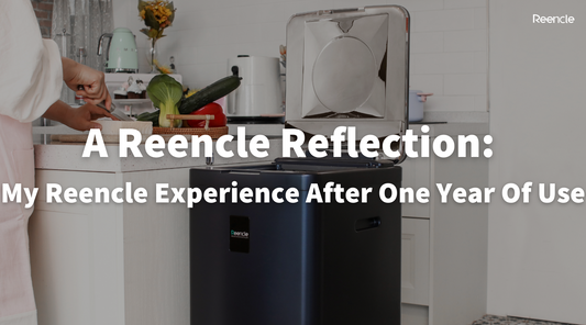 A Reencle Reflection: My Reencle Experience After One Year Of Use