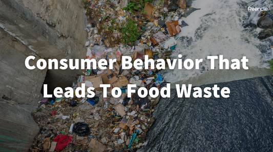 Consumer Behaviors That Lead To Food Waste