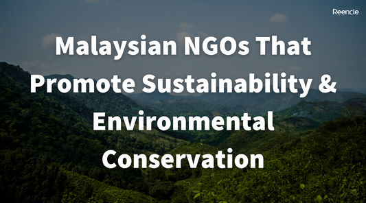 Malaysian NGOs That Promote Sustainability & Environmental Conservation