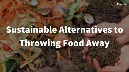 Sustainable Alternatives to Throwing Food Away