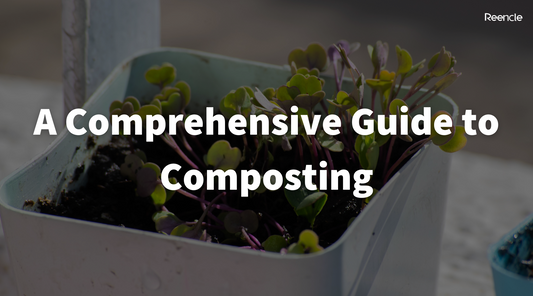A Comprehensive Guide to Composting