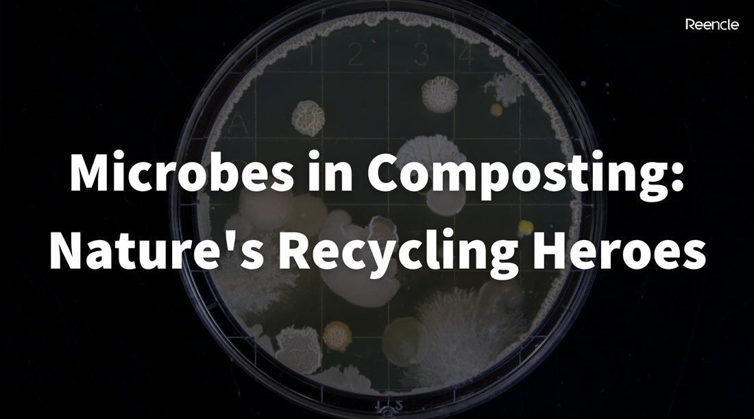 Microbes in Composting: Nature's Recycling Heroes
